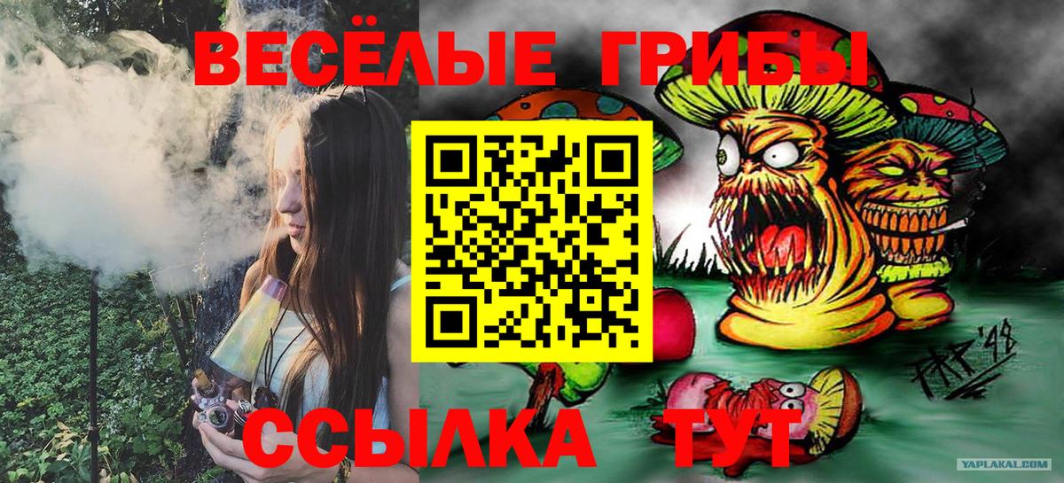 закладка  Псилоцибиновые грибы Psilocybine cubensis  Вход с VPN  Новосибирск 