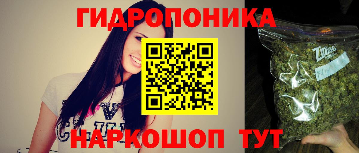 Каннабис индика  Марихуана Amnesia  Бошки марихуана SATIVA & INDICA  Конопля тримм  Вход с VPN  Новосибирск 